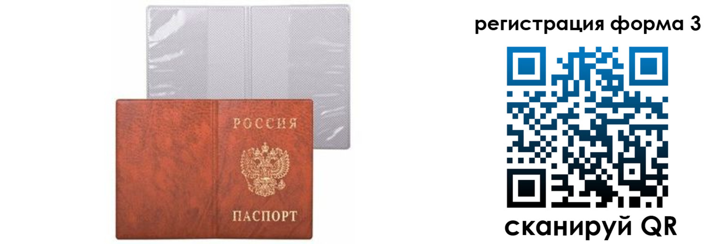прописка 2025 в Зеленоградске